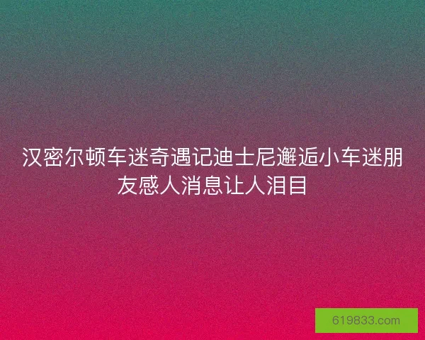 汉密尔顿车迷奇遇记迪士尼邂逅小车迷朋友感人消息让人泪目 汉密尔顿车迷奇遇记迪士尼邂逅小车迷朋友感人消息让人泪目